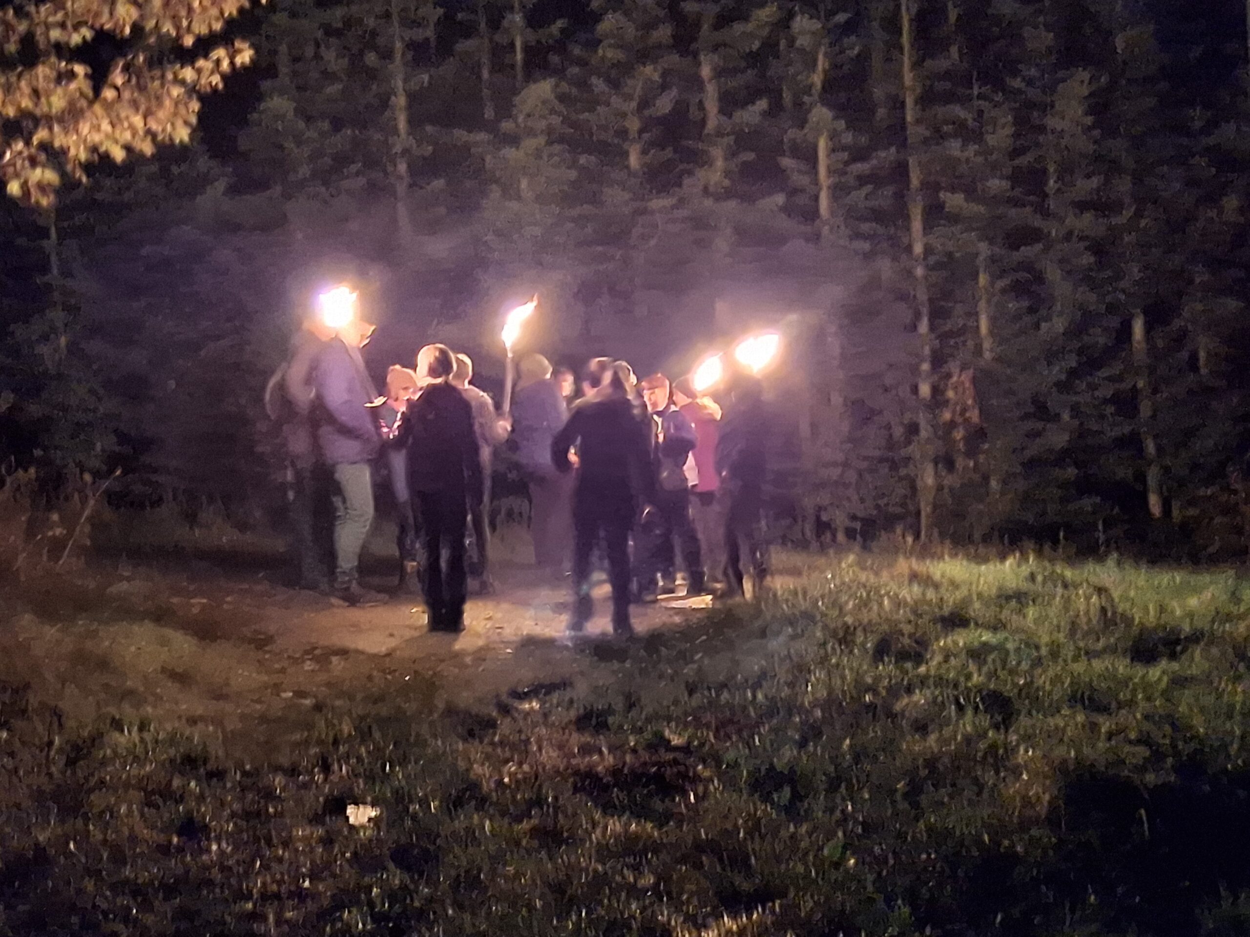 Gruppe mit brennenden Fackeln bei nächtlicher Wanderung durch den Wald in nebligem Ambiente