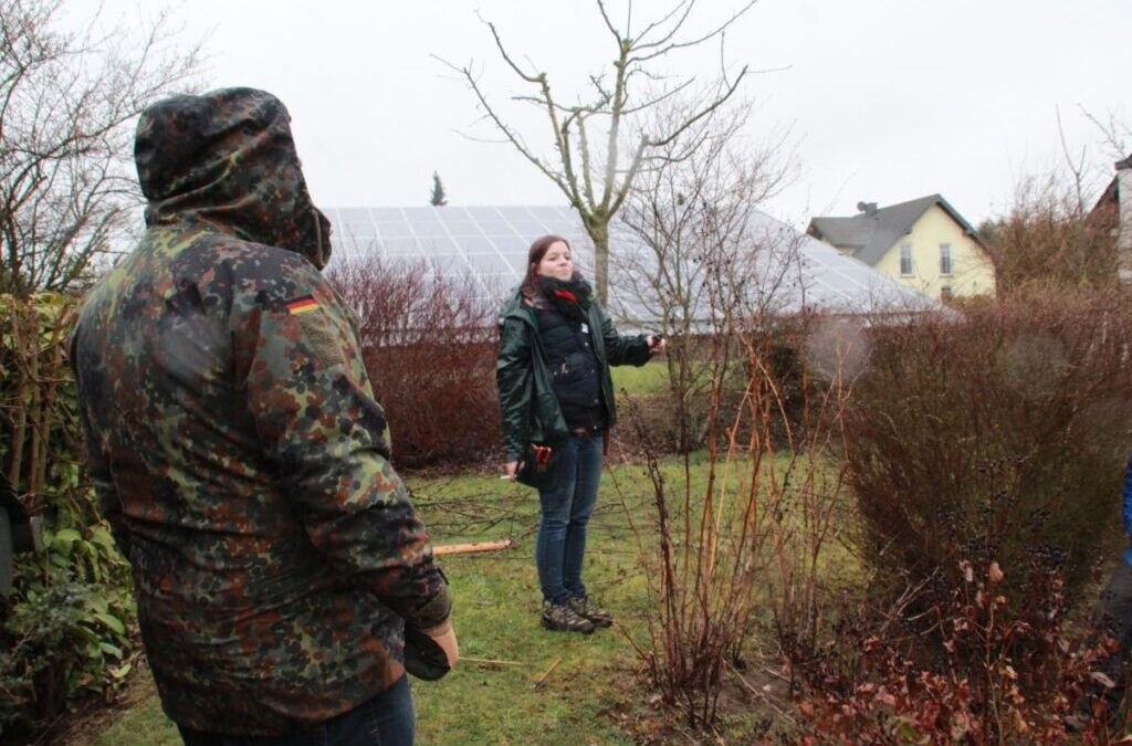 Wie schneide ich Hecken und Bäume in meinem Garten?